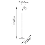 Classic Flexi Reader Floor Lamp in Brushed Aged Brass (0711CLA108126)