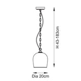 1 Light Pendant finished in Aged Brass with Clear Glass Shade (0711ASH120624)