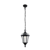 Outdoor Pendant in Matt Black IP44 (0711DRAYG3503)