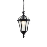 Outdoor Pendant in Matt Black IP44 (0711DRAYG3503)