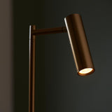 Dedicated Reader Task Floor Lamp - Warm Brass (0711DED99774)