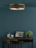 3 Light Flush Antique Bronze With Brown Shade (0183ALV5239)