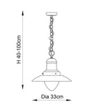 Outdoor 1 Light Pendant in Satin Nickel - Height Adjustable (0711MEN60799)