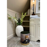 Quirky Stool - Cat in Vintage Military Outfit - Green Velvet Gold Base (1522SH05)