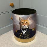 Quirky Stool - Cat in Vintage Military Outfit - Green Velvet Gold Base (1522SH05)