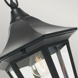 1 Light Chain Lantern - Black IP54 (0178VALV8)