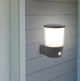 Outdoor PIR Wall Light - Grey, Clear & White Shade - IP44 (0483TUC0587GY)