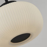 Ceiling Pendant - Black Metal & Frosted Ribbed Glass (0483LUM102721BK)