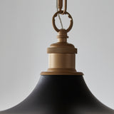 1 Light Pendant in Matt Black with Satin Brass details (0711DES99998)