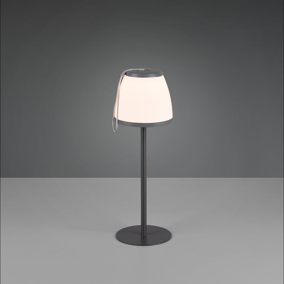 LED Table Lamp in Anthracite (1542DOM52096142)
