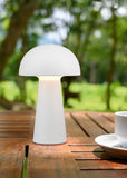 LED Integrated Table Lamp in White USB Chargeable (1542LEN52176101)