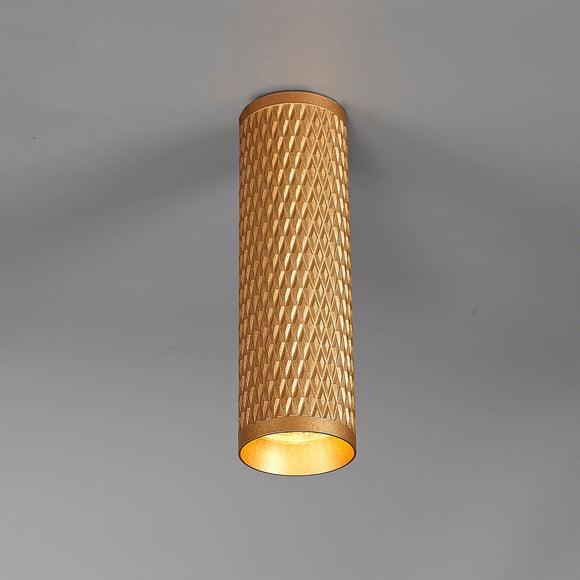 20cm Surface Mounted Ceiling Light in Champagne Gold (BUSTER117B)