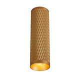 20cm Surface Mounted Ceiling Light in Champagne Gold (BUSTER117B)
